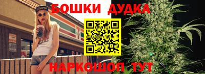 PSILOCYBIN Новодвинск