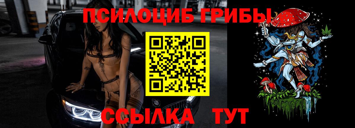 Галлюциногенные грибы Magic Shrooms  Псилоцибиновые грибы Psilocybe  где можно купить   Самара  Вход с VPN 